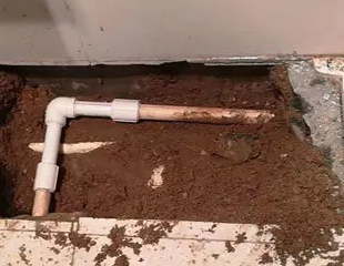 常德市测漏水哪家好