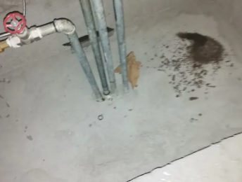 常德市卫生间测漏水价格明细