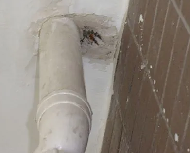 常德市漏水检测哪家好